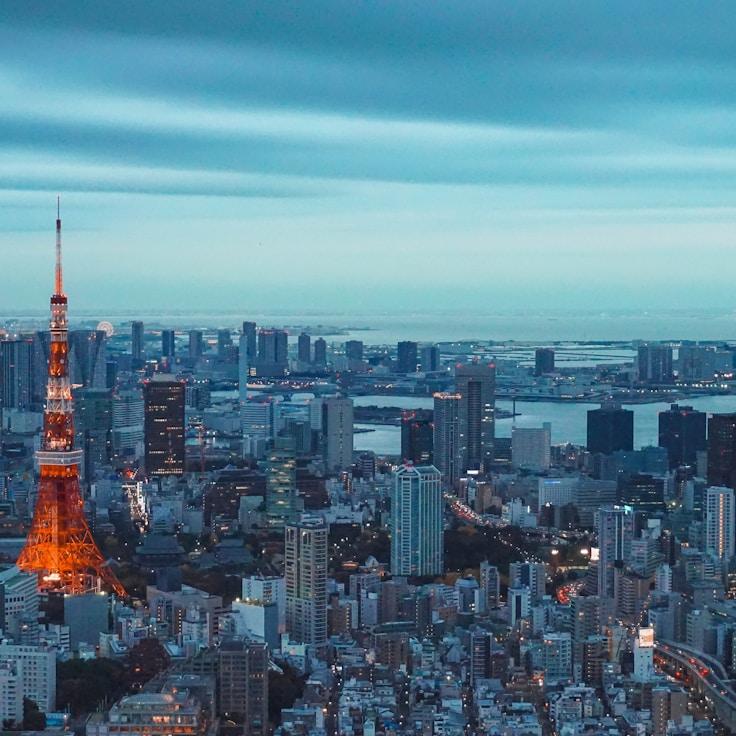 Sophie van den Berg - Expat family life guide in Netherlands