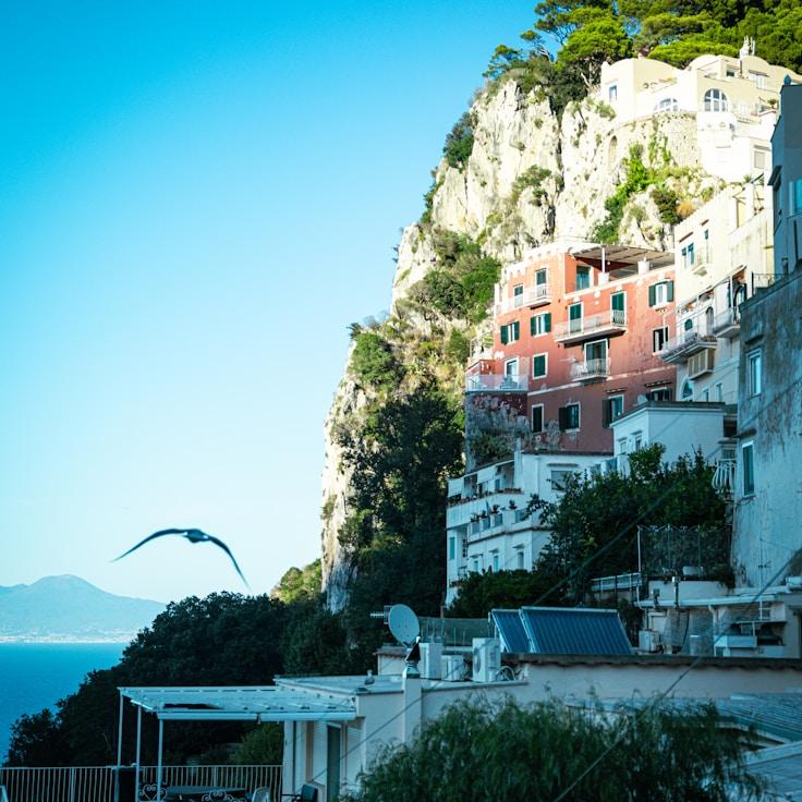 Outdoor terrace seating suitable for families in Amsterdam