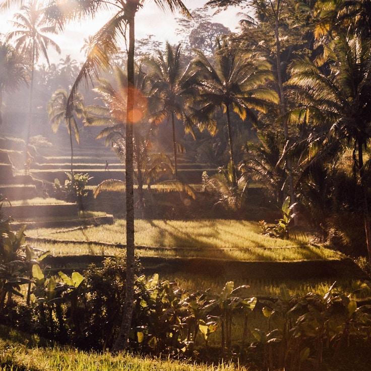 Entertainment zone at night in Netherlands